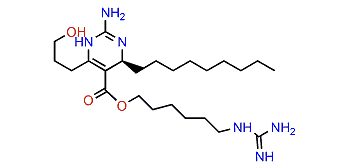 Norcrambescin C1
